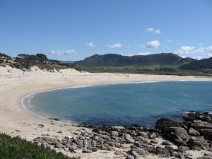 Carmel River State Beach